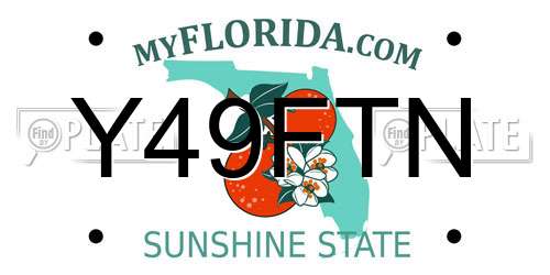 Y49FTN Florida License Plate