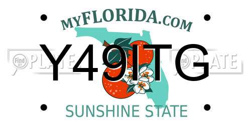 Y49ITG Florida License Plate