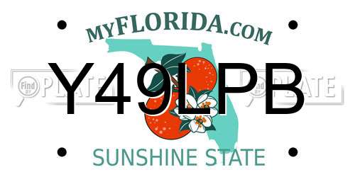 Y49LPB Florida License Plate
