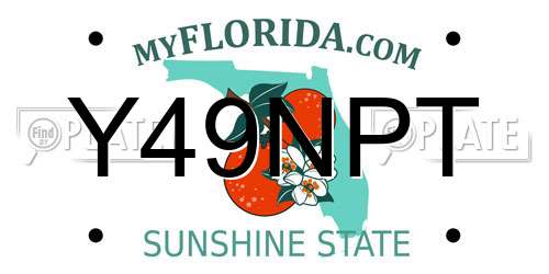 Y49NPT Florida License Plate