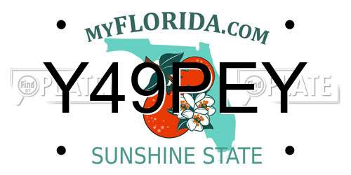 Y49PEY Florida License Plate