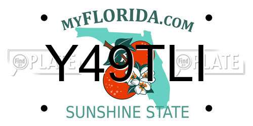 Y49TLI Florida License Plate