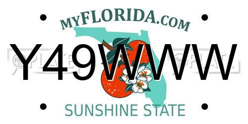 Y49WWW Florida License Plate