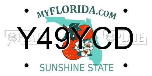 Y49YCD Florida License Plate