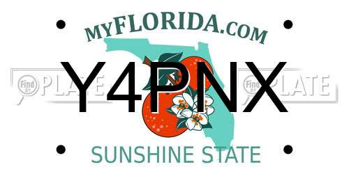 Y4PNX Florida License Plate
