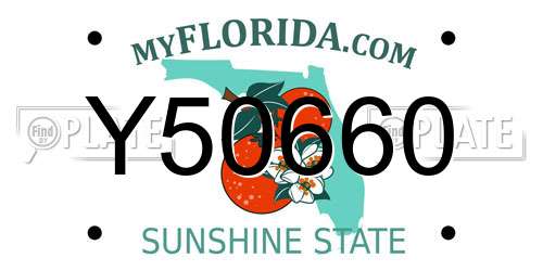 Y50660 Florida License Plate
