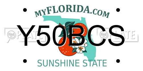 Y50BCS Florida License Plate