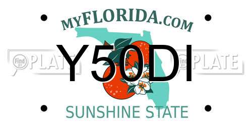 Y50DI Florida License Plate