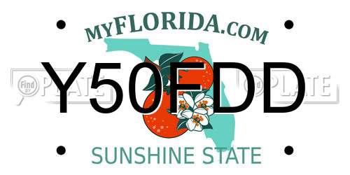 Y50FDD Florida License Plate