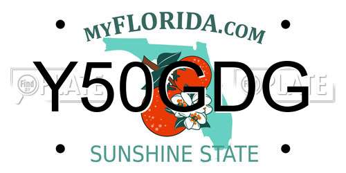 Y50GDG Florida License Plate