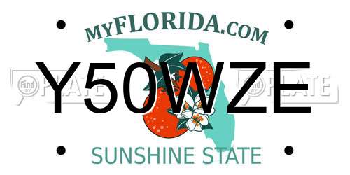 Y50WZE Florida License Plate