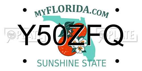 Y50ZFQ Florida License Plate