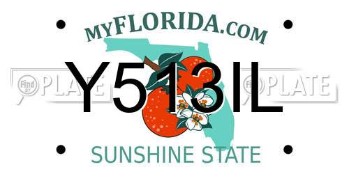 Y513IL Florida License Plate