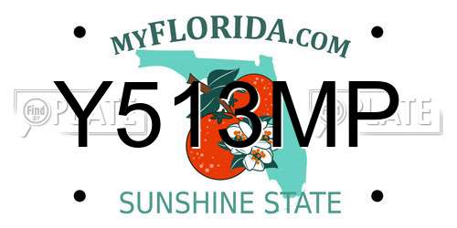 Y513MP Florida License Plate