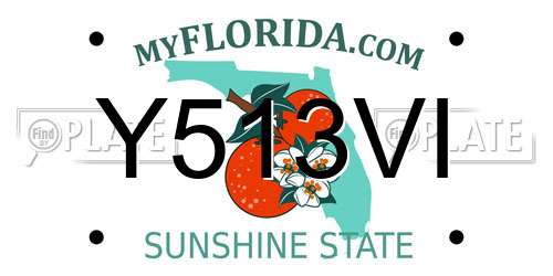 Y513VI Florida License Plate