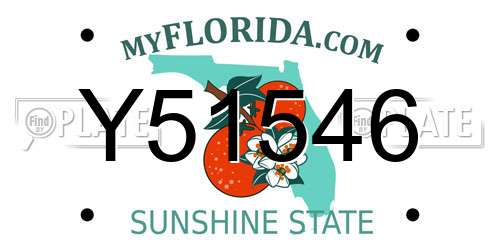 Y51546 Florida License Plate