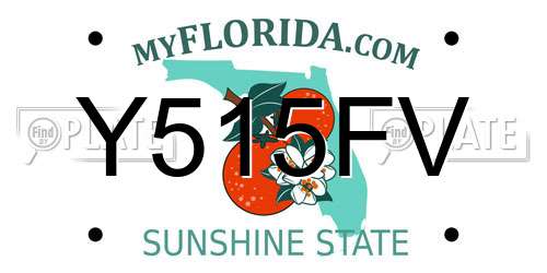Y515FV Florida License Plate