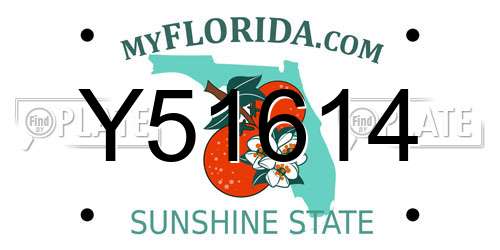 Y51614 Florida License Plate