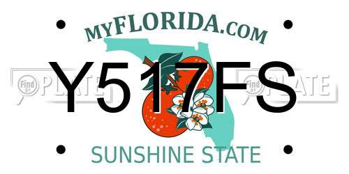 Y517FS Florida License Plate