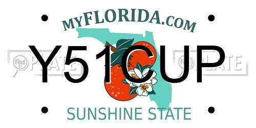Y51CUP Florida License Plate