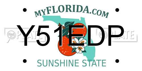Y51EDP Florida License Plate