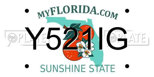 Y521IG Florida License Plate