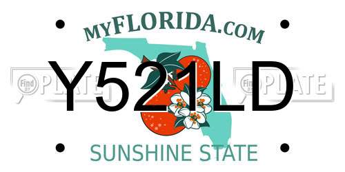 Y521LD Florida License Plate