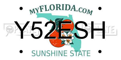 Y52ESH Florida License Plate