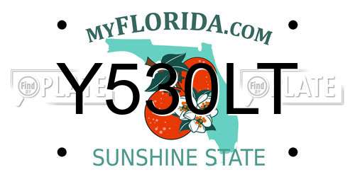 Y530LT Florida License Plate
