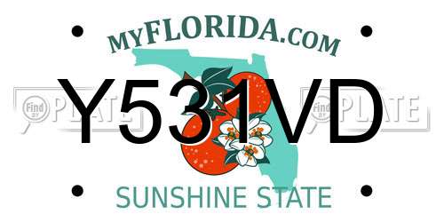 Y531VD Florida License Plate
