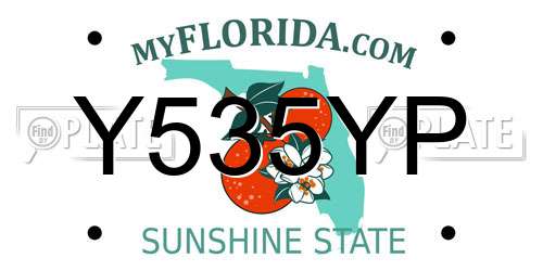 Y535YP Florida License Plate