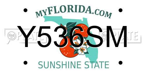 Y536SM Florida License Plate