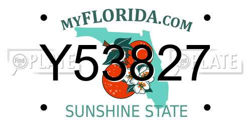 Y53827 Florida License Plate