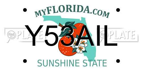 Y53AIL Florida License Plate