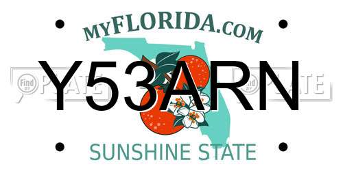 Y53ARN Florida License Plate