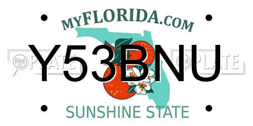 Y53BNU Florida License Plate