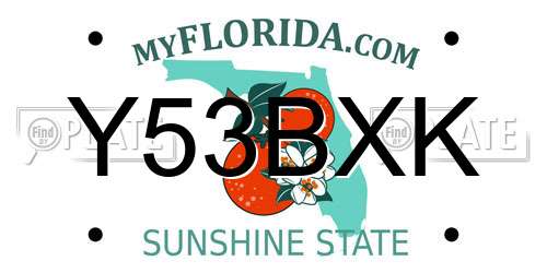 Y53BXK Florida License Plate