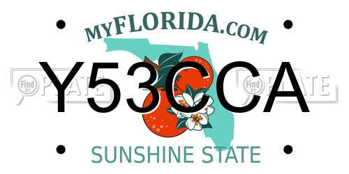 Y53CCA Florida License Plate