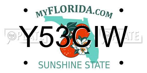 Y53CIW Florida License Plate