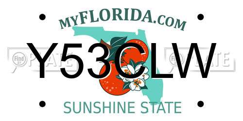 Y53CLW Florida License Plate