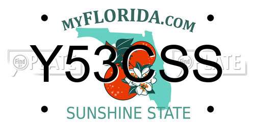Y53CSS Florida License Plate