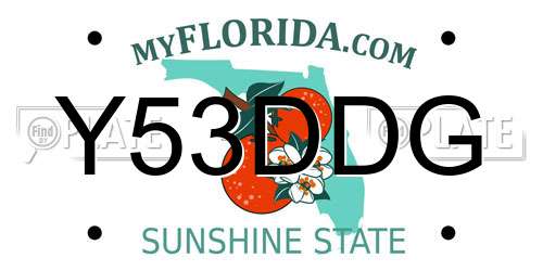 Y53DDG Florida License Plate