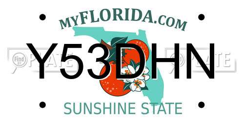 Y53DHN Florida License Plate
