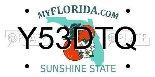 Y53DTQ Florida License Plate