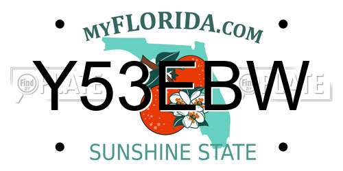 Y53EBW Florida License Plate