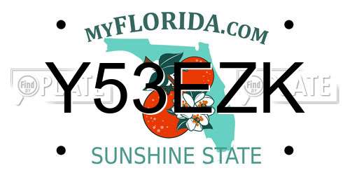 Y53EZK Florida License Plate