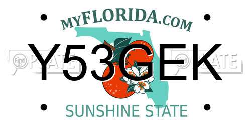 Y53GEK Florida License Plate