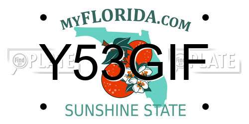 Y53GIF Florida License Plate