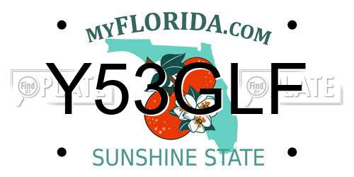 Y53GLF Florida License Plate