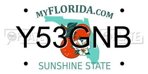 Y53GNB Florida License Plate